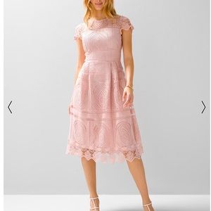 Short Sleeve Embroidered Lace Fit-And-Flare Dress.